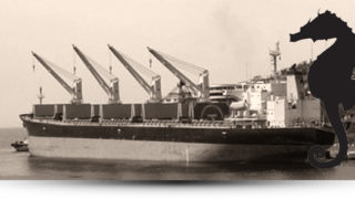 Nordic Seahorse Bulker