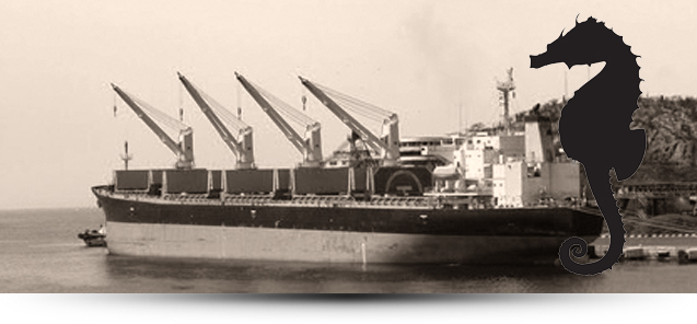 Nordic Seahorse Bulker